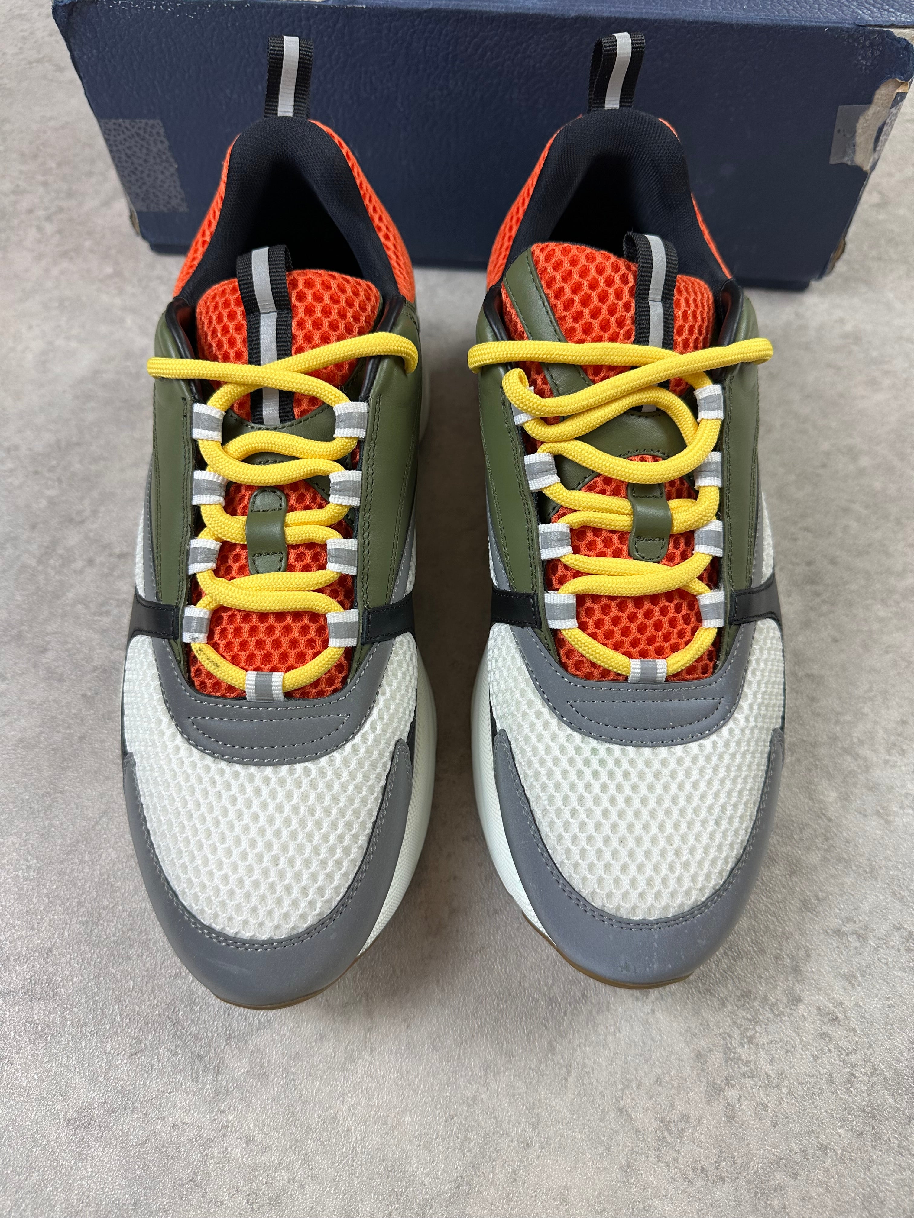 DIOR B22 - PETER DOIG - EU44 (UK10)