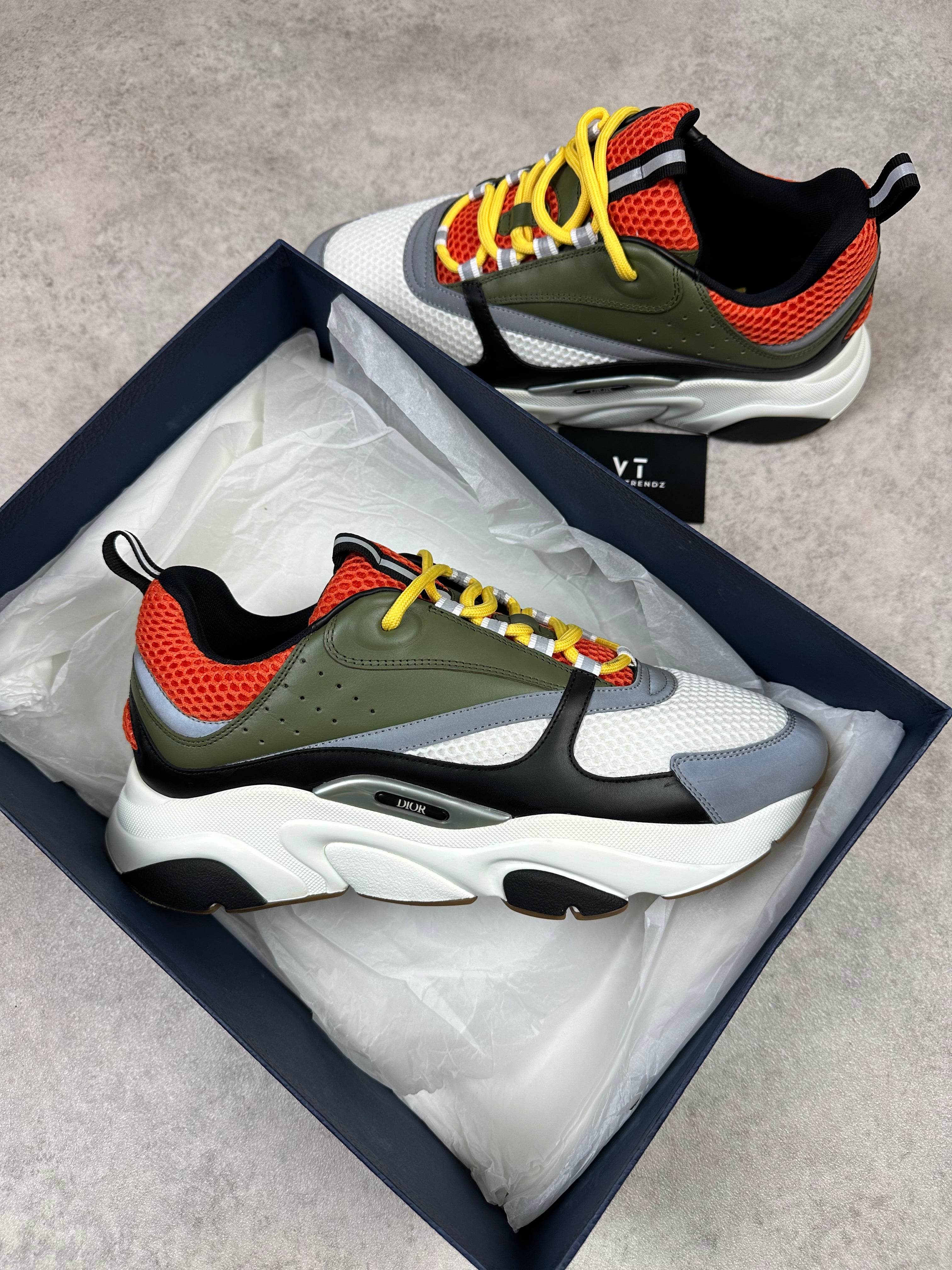 DIOR B22 - PETER DOIG - EU44 (UK10)